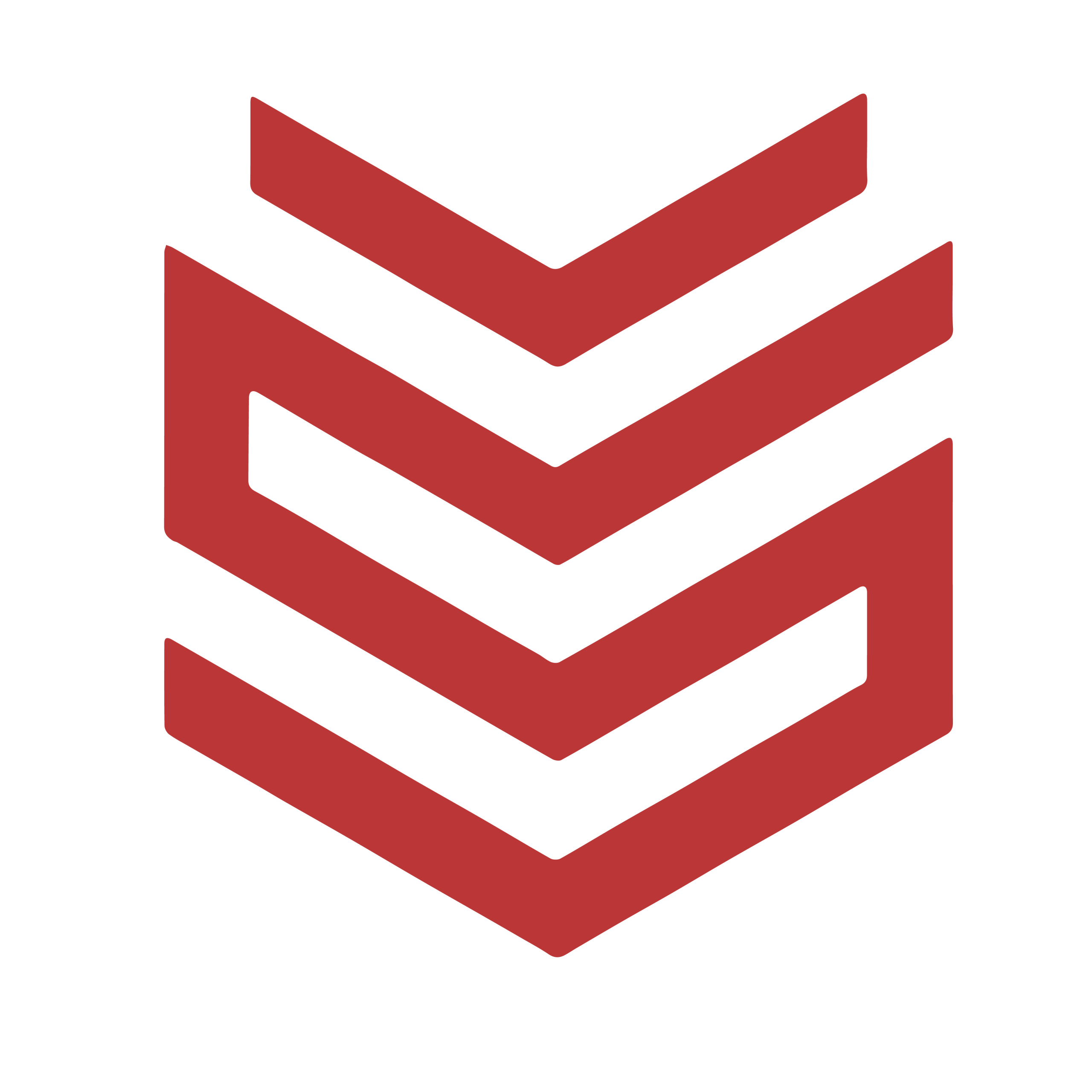 SALUTE FOR SERVICE AUSTRALIA LTD